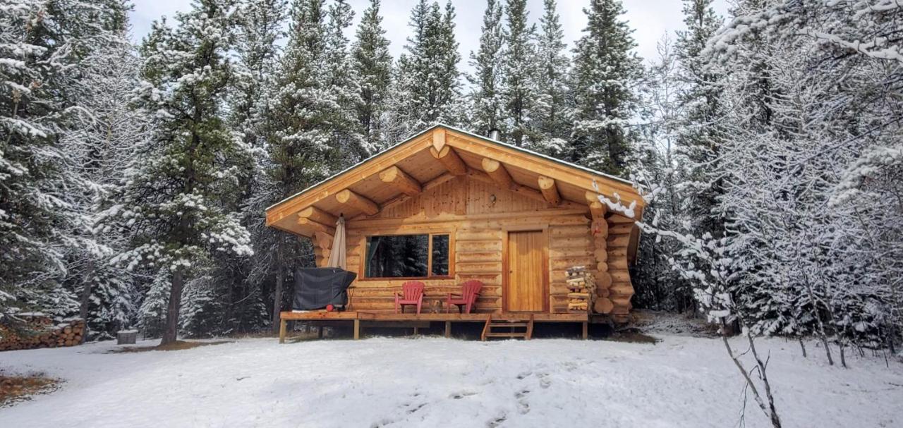Rocky Mountain Escape Dome & Log Cabin Rentals - Rock Lake Rock Lake Lodge Provincial Park Kültér fotó